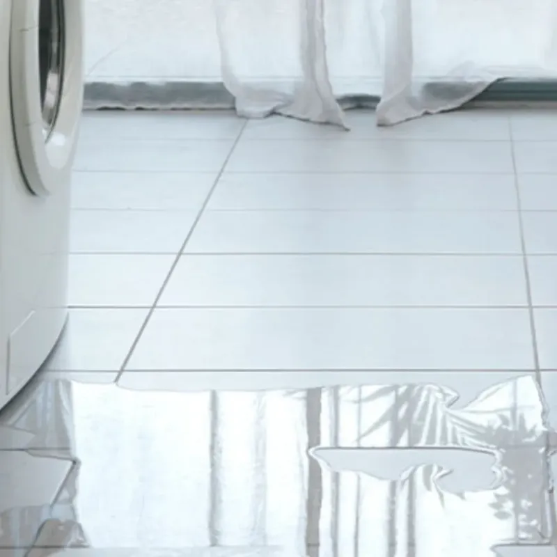 Appliance Leak Cleanup in Henry County, IA