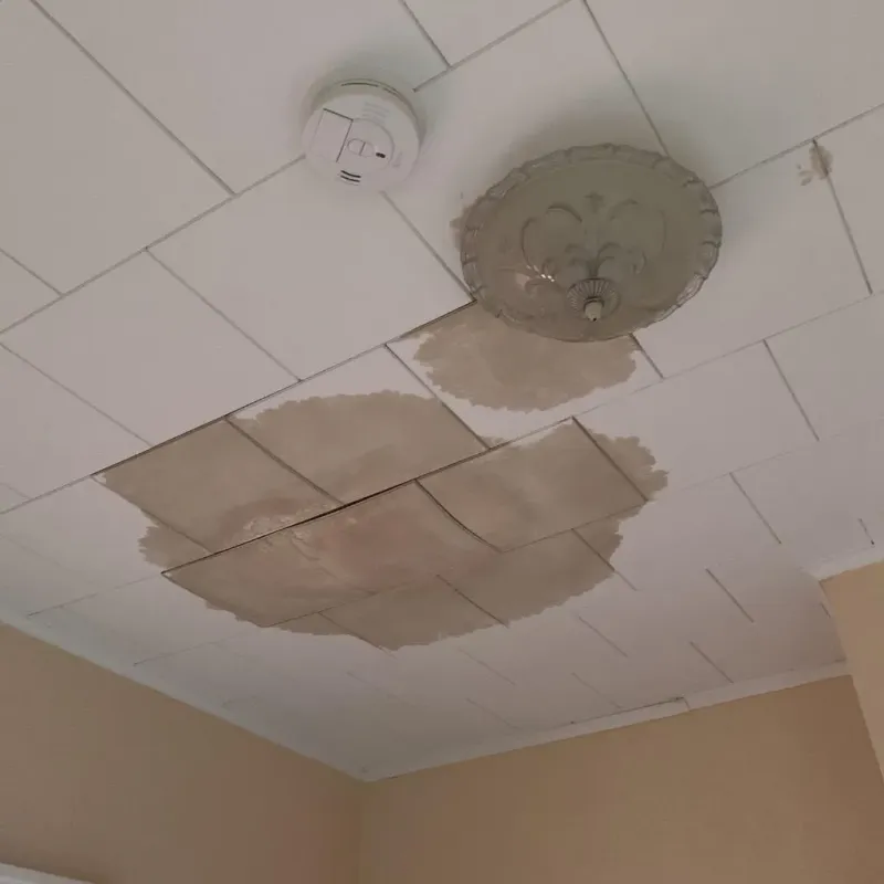 Ceiling Water Damage Repair in Henry County, IA