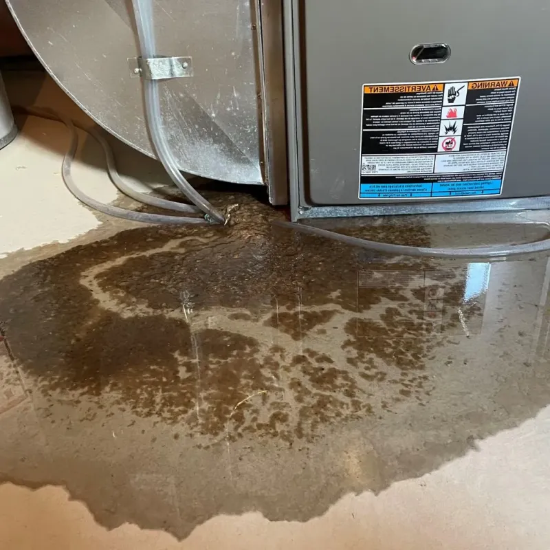 Pipe Burst and Leak Restoration in Henry County, IA